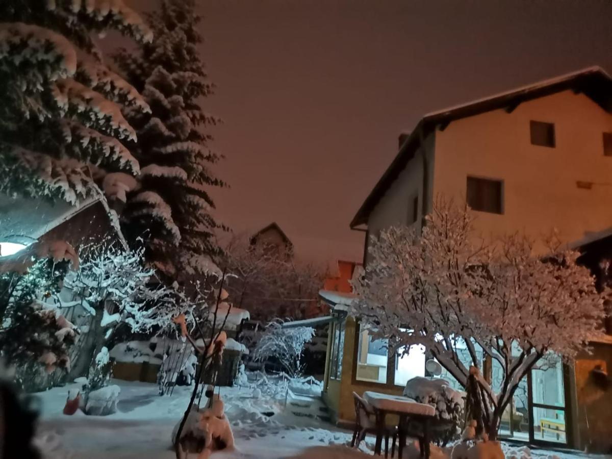 Zoso Home Buşteni Екстериор снимка