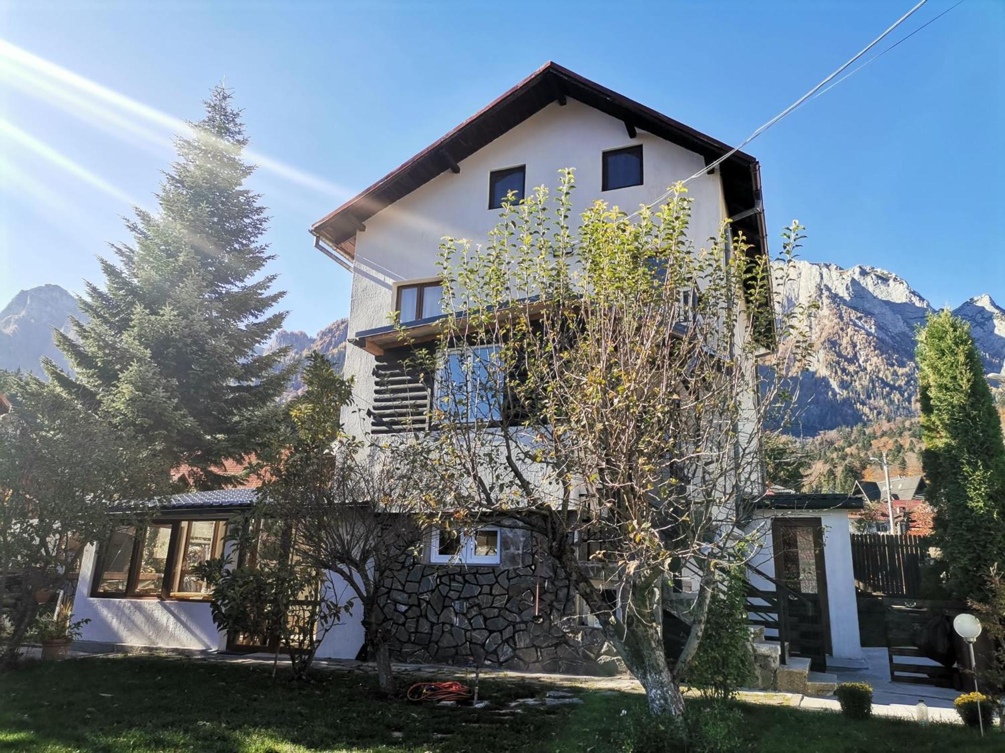 Zoso Home Buşteni Екстериор снимка